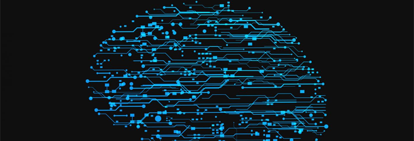 Brain waves reflect different types of learning | Picower Institute